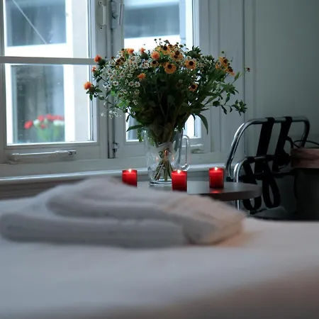 55 シティ センター 2* アムステルダム