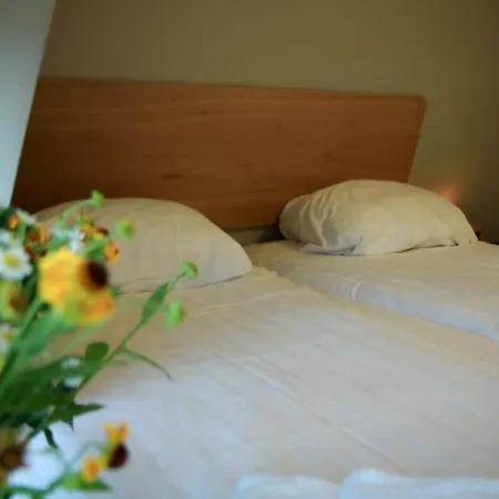 55 - Centre מלון אמסטרדם